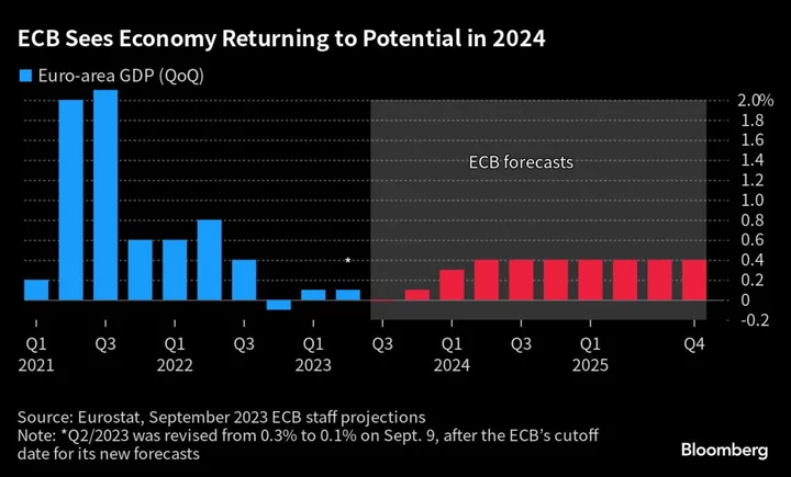 Europe’s Consumer Will Save the Economy, ECB’s Scicluna Says