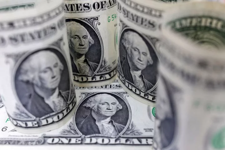 Dollar muted as markets brace for data fest; yen under pressure