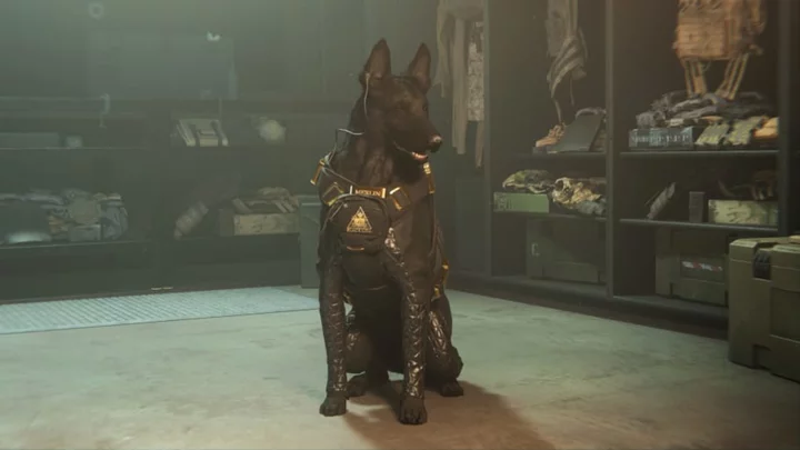 How to Get Tactical Pet Dog Merlin in Warzone