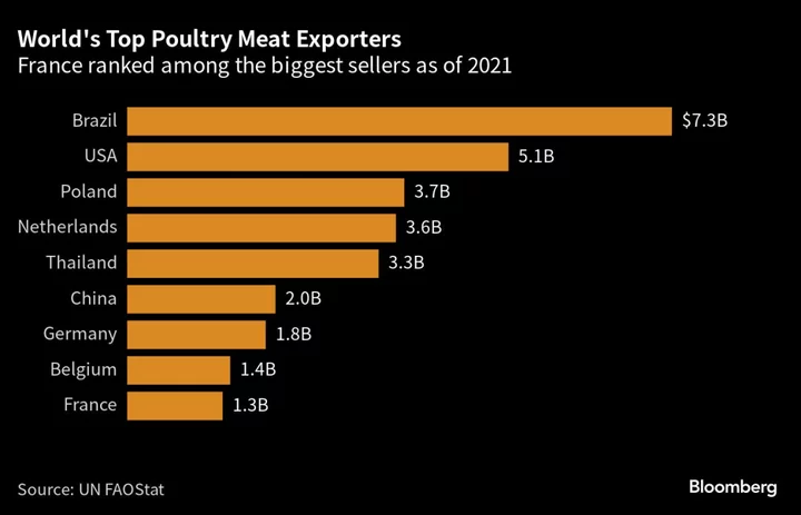 France Bird Flu Vaccine Plan Risks Spooking Foie Gras Lovers