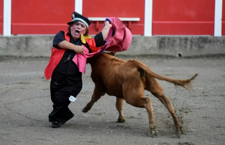 After Spanish ban, dwarf bullfighters take show to France