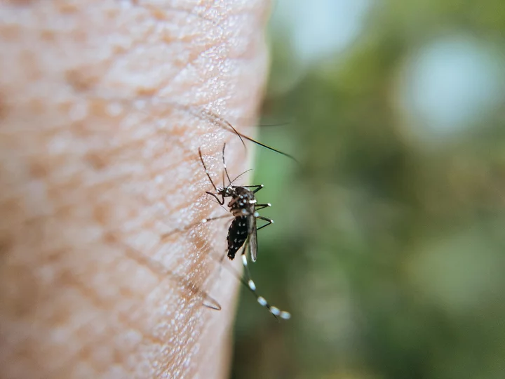 Save 30% on this electric mosquito killer, now under $21