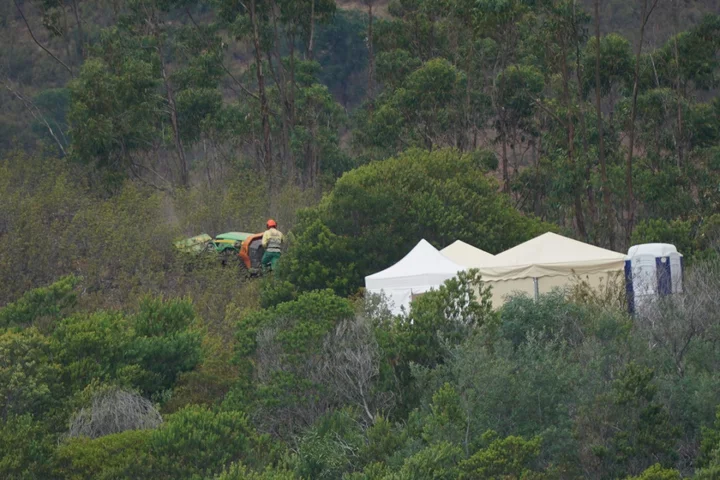 Madeleine McCann police start digging in woodland