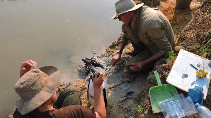 Half-million-year-old wooden structure unearthed