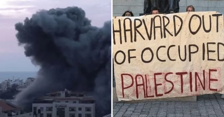 'They have a problem with Candace Owens, but not Hamas': Internet foretells the end of Harvard as we know it