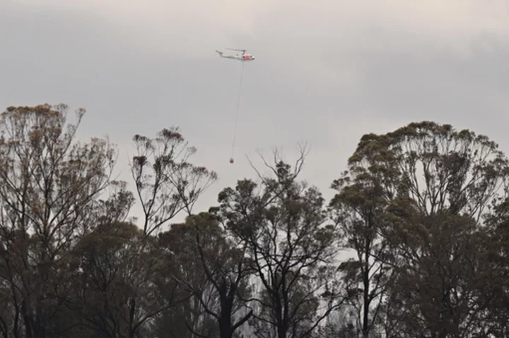 Wildfire destroys 3 homes in southeastern Australia and a man is injured by a falling tree