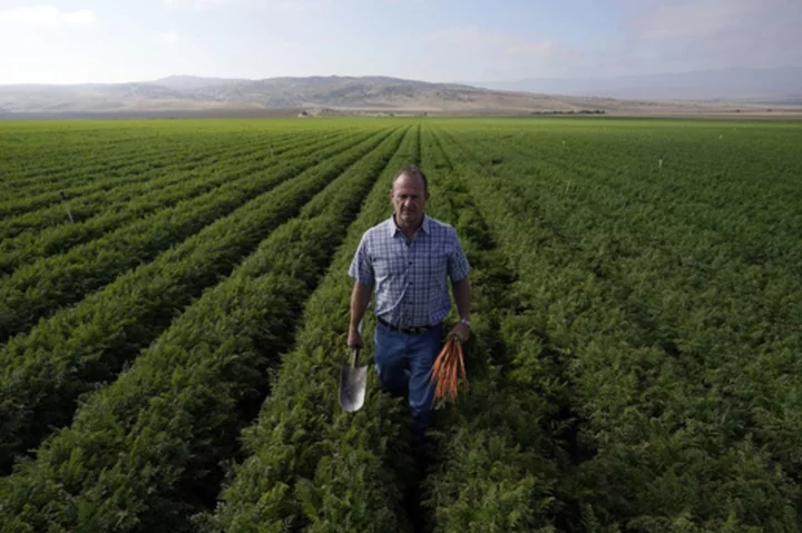 A fight over precious groundwater in a rural California town is rooted in carrots