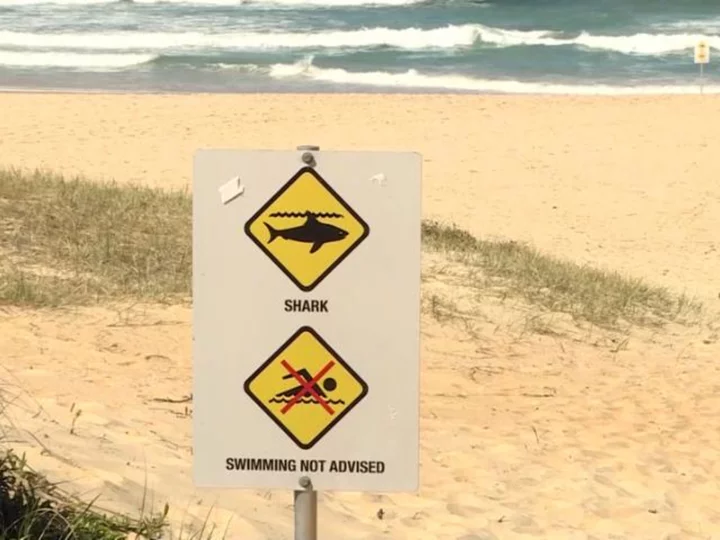 Surfer fights for his life after shark attack in Australia