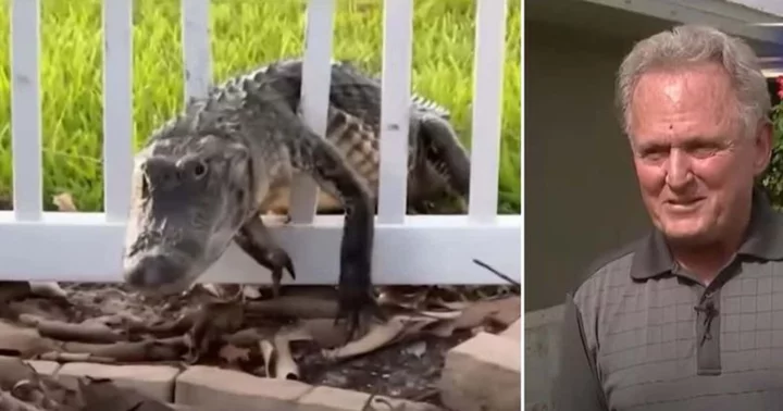 Florida man records shocking video of 6-foot alligator breaking through his backyard fence on July 28