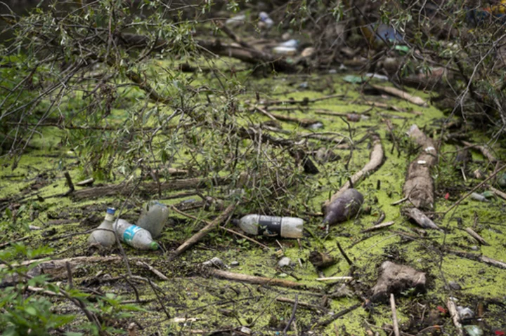 At talks on cutting plastics pollution, plastics credits are on the table. What are they?