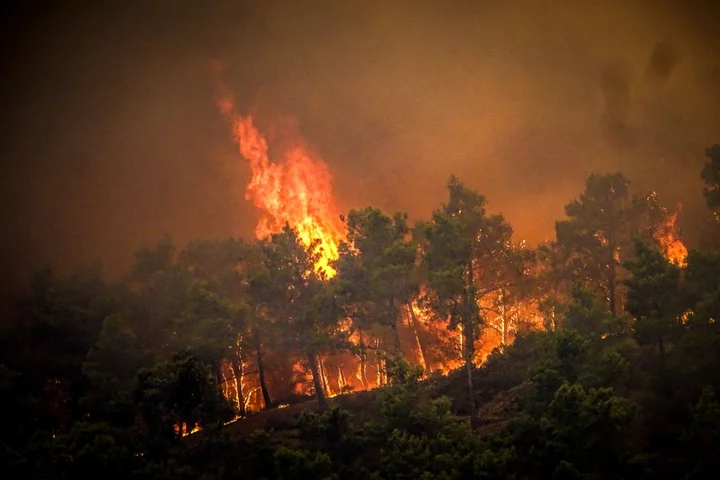 Greece fires – live: EasyJet pilot tells tourists flying to Rhodes is ‘terrible idea’ minutes before takeoff