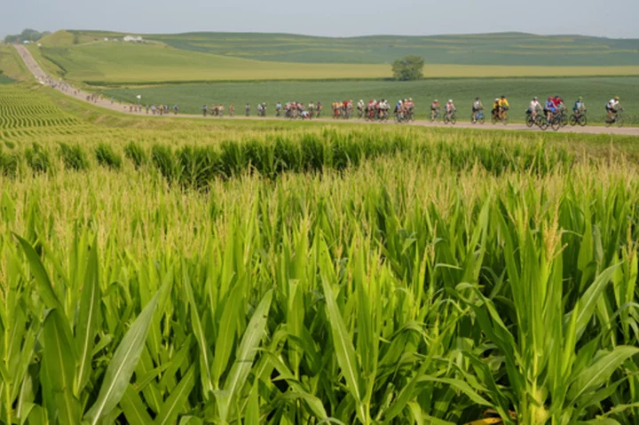 World's biggest recreational bike ride begins anew for golden anniversary trek across Iowa