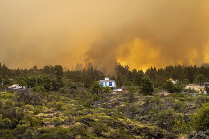 2,000 evacuated in La Palma wildfire in Spain's Canary Islands; official says blaze 'out of control'