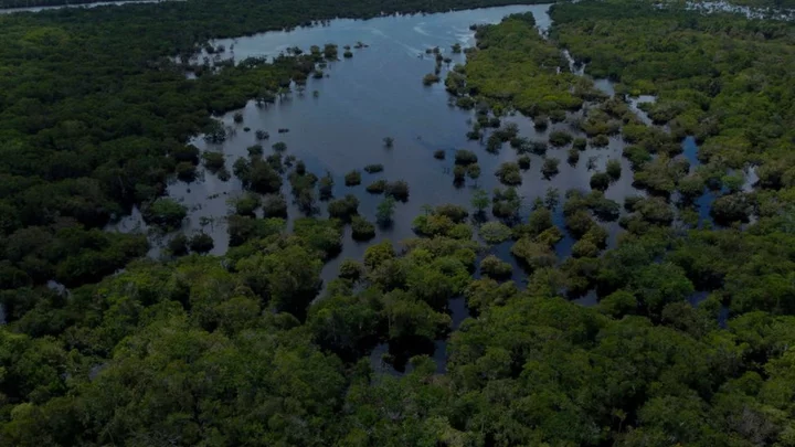 Brazil: 14 killed after plane crashes in Amazon