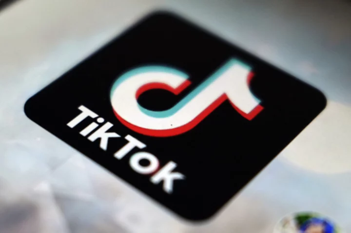 EU demands Meta and TikTok detail efforts to curb disinformation from Israel-Hamas war