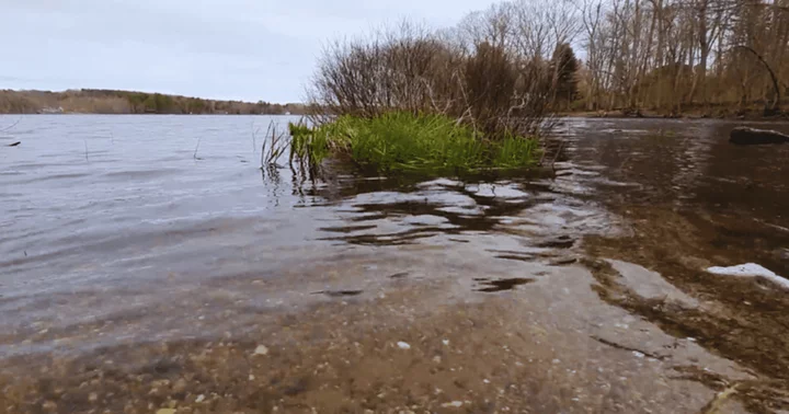 Henry Brooks: Maine father drowns in heroic attempt to save daughters struggling in deeper part of pond