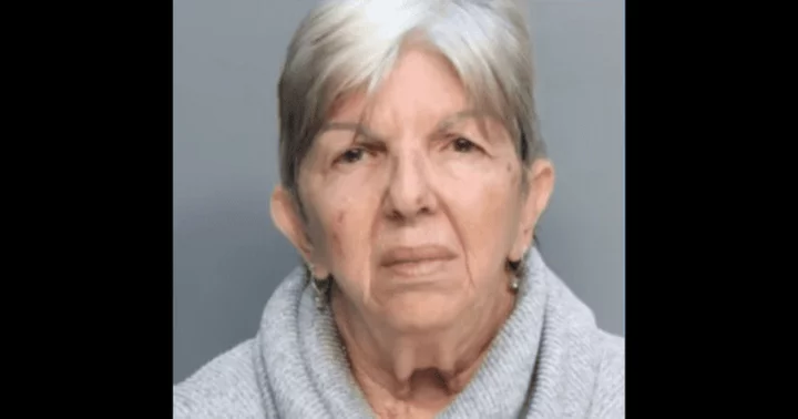 Who is Leonor Garcia? Florida babysitter, 62, faces felony charge for repeatedly maltreating seven-year-old girl