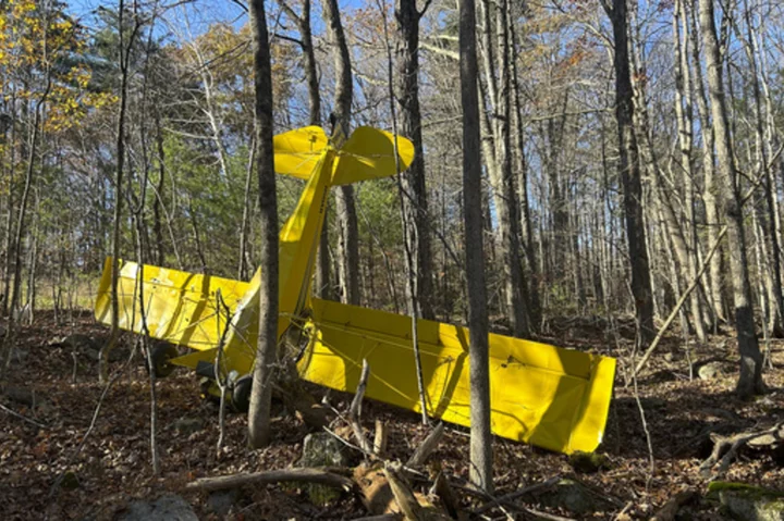 Pilot suffers minor injuries in small plane crash in southern Maine