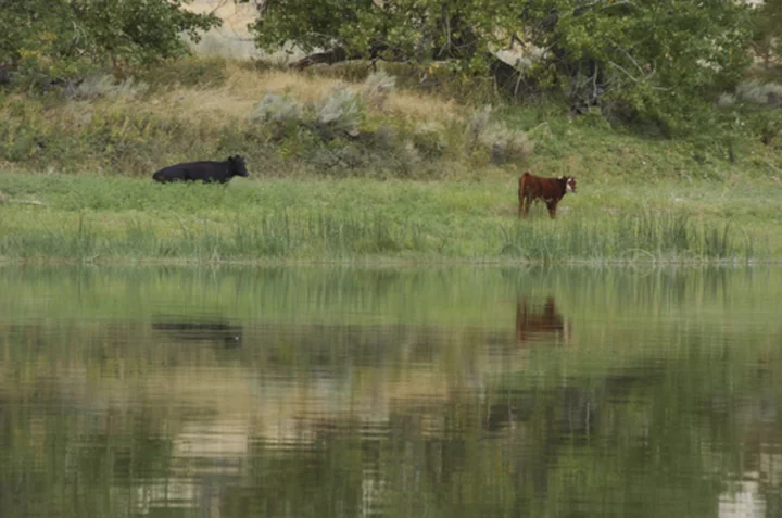 Biden plan to sell land leases for conservation gets pushback