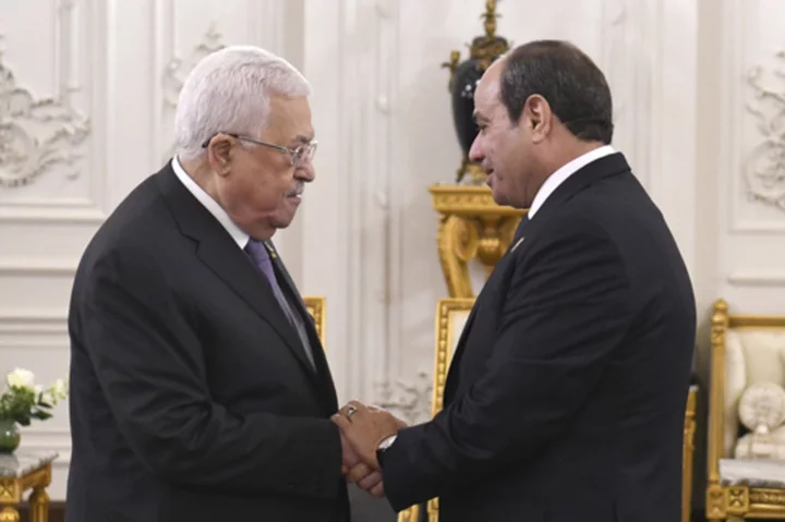 At Cairo summit, even Arab leaders at peace with Israel expressed growing anger over the Gaza war