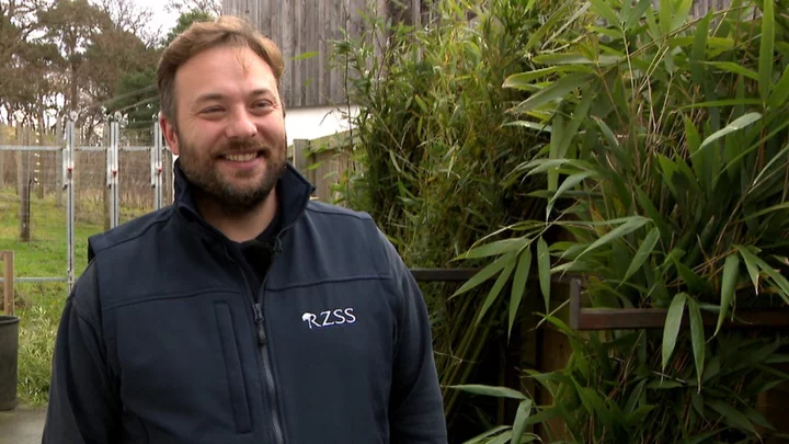 Edinburgh Zoo pandas begin last day in the spotlight