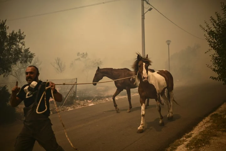 Athens district evacuated as Greek fire death toll hits 20