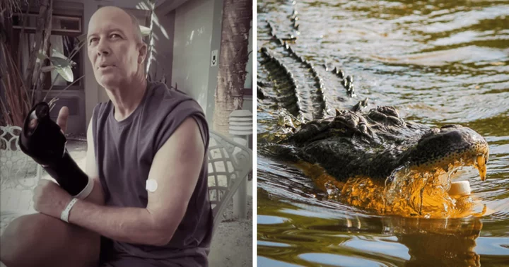 Mark Montgomery: Safari guide dragged into river by 12ft crocodile as terrified onlookers watched