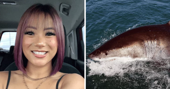 Who is Natalie Branda? Florida woman, 26, bitten by shark while swimming during friend's birthday party, requires 14 stitches