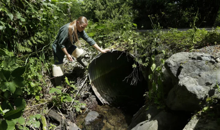 Federal grants will replace tunnels beneath roads that let water pass but not fish