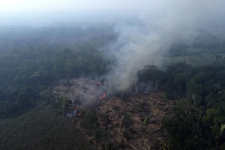 As rainforests worldwide disappear, burn and degrade, a summit to protect them opens in Brazzaville