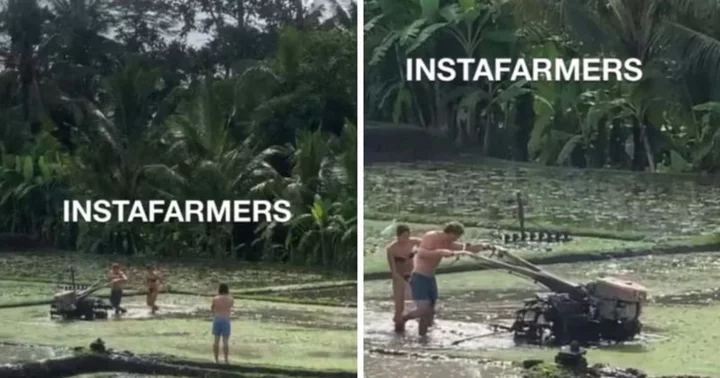 'Content won't make itself': Two tourists caught 'faking farm work' in Bali for Instagram views