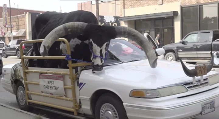 Police stop Nebraska man for bucking the law with a bull riding shotgun in his car