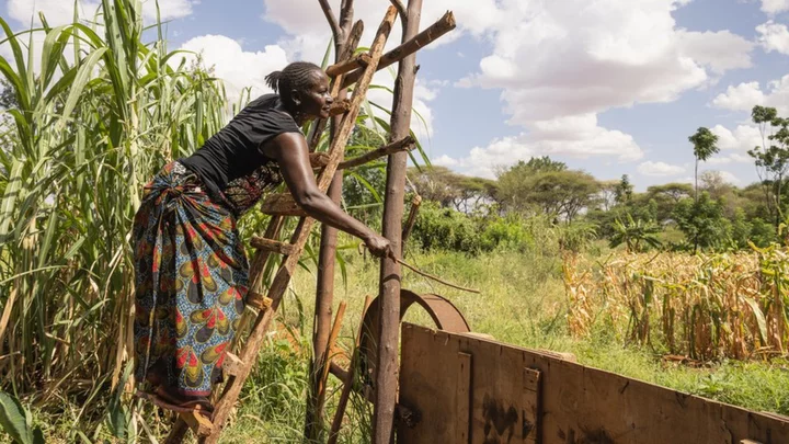 Kenyan farmer: 'I'm afraid that elephants will kill me'