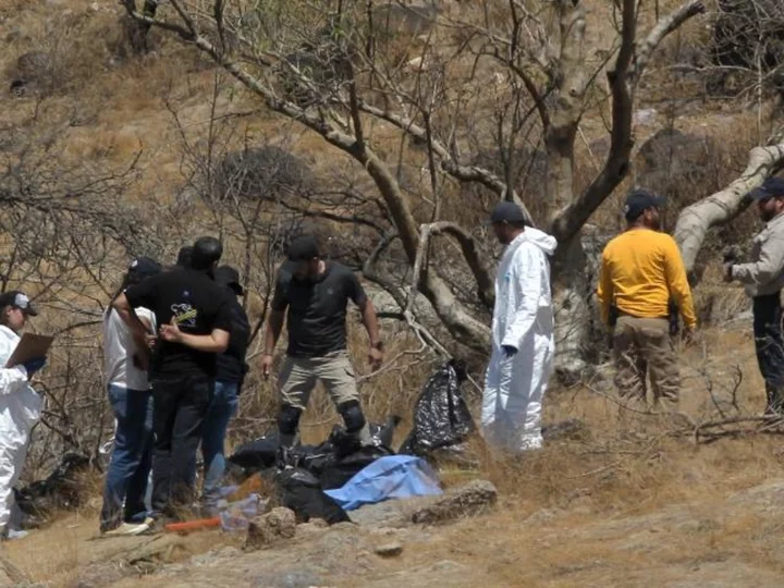 Mexico police find 45 bags containing body parts 'matching characteristics' of missing call center staff