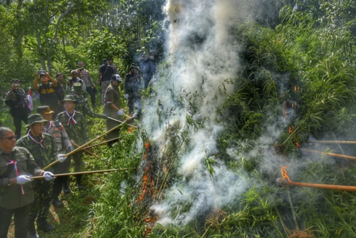 Indonesia burns marijuana plantation that was discovered by drones