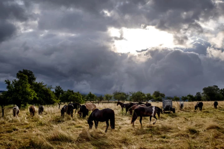 Storm Poly lashes the Netherlands and parts of Germany, causing 2 deaths and canceled flights