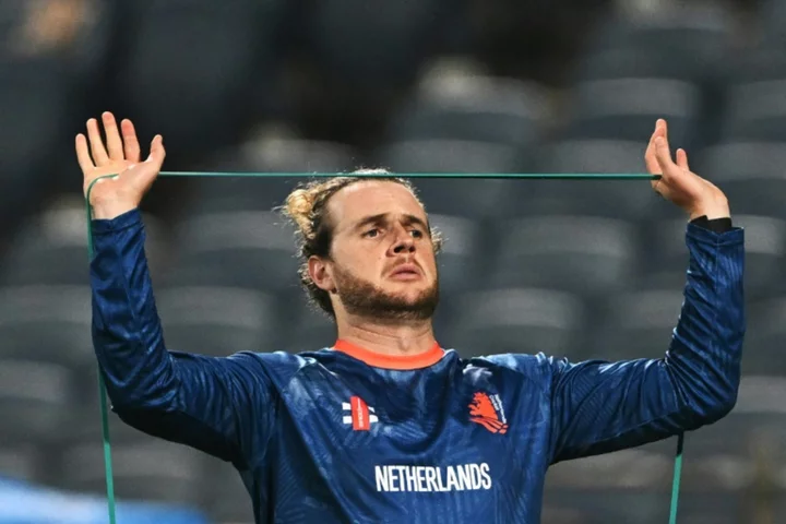 'Never underestimate a wounded buffalo': Dutch coach on England clash