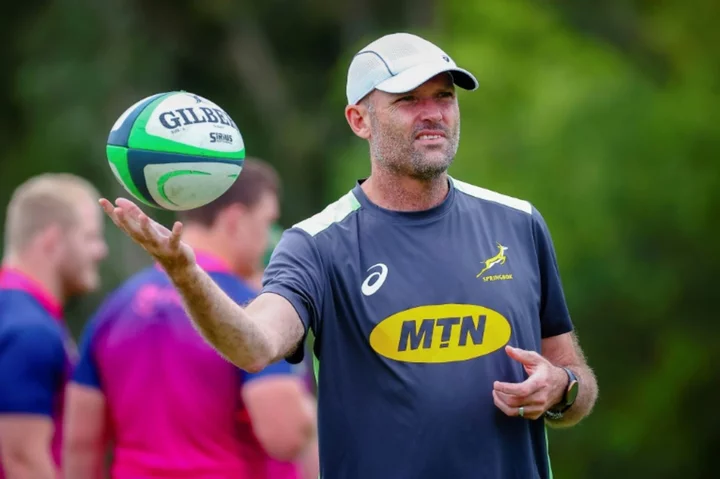 Nienaber emotional, Williams hopeful as Springboks tackle Pumas