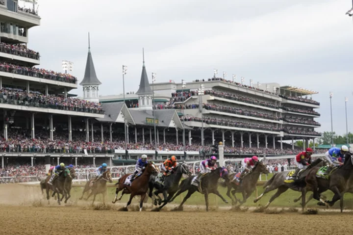 6-year-old horse dies at Belmont Park after race injury