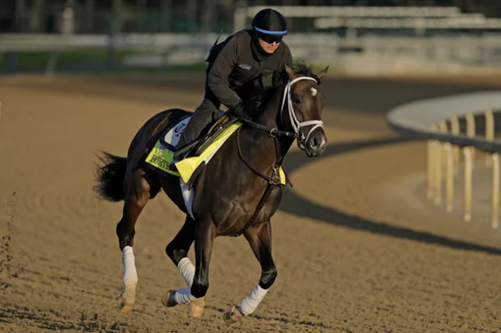 Forte, Tapit Trice, Angel of Empire have final workouts ahead of Belmont Stakes next weekend