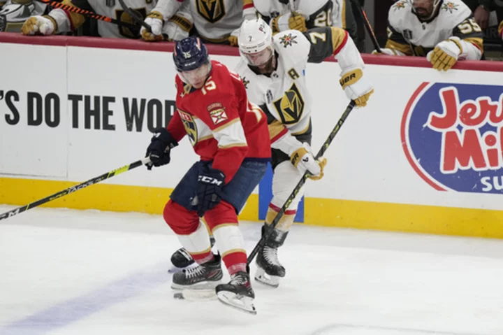 Vegas Golden Knights buck trend of small D-men during Stanley Cup Final run