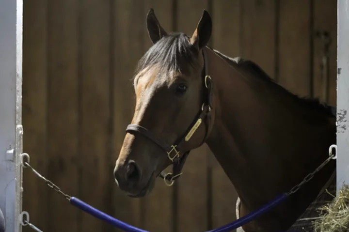 Breeders' Cup contender Practical Move dies after a gallop at Santa Anita. Arcangelo out of Classic