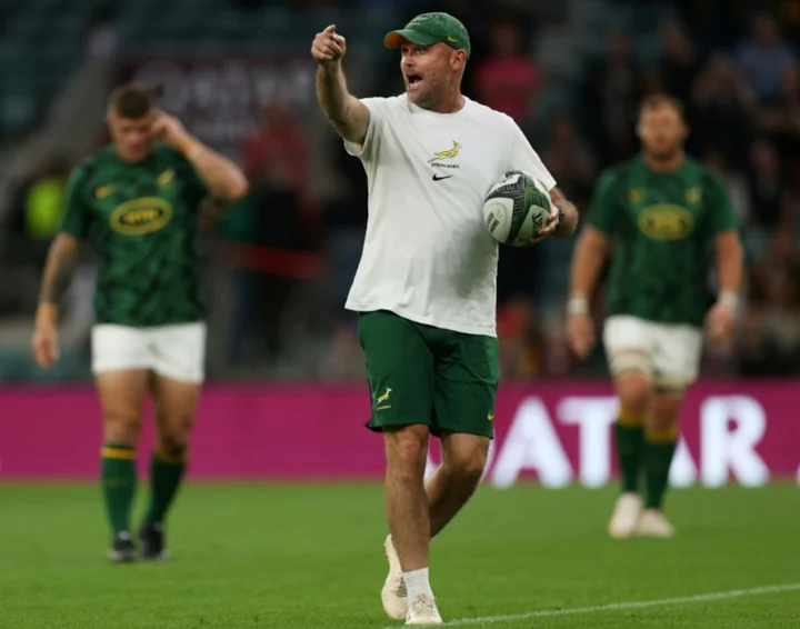 'No-ego' former physio Nienaber an unlikely Springboks coach