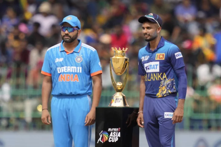 Cricket World Cup host India looks to end 12-year one-day international trophy drought