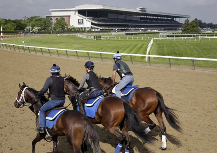 6-year-old horse dies at Belmont Park after race injury; Chaysenbryn euthanized on track