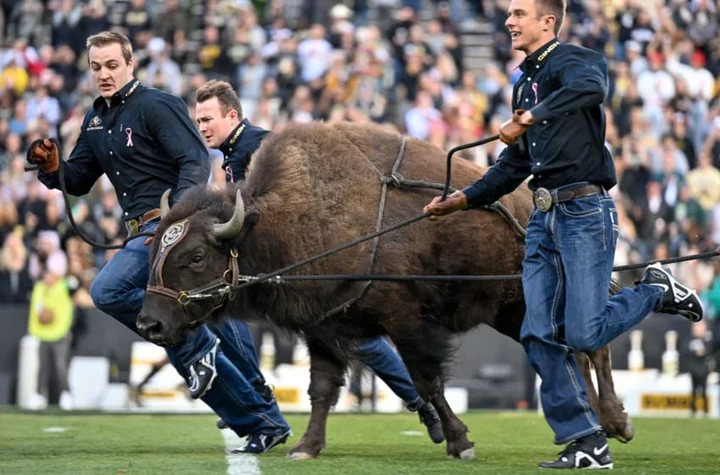 Colorado vs. Colorado State matchup history: Rocky Mountain Showdown records