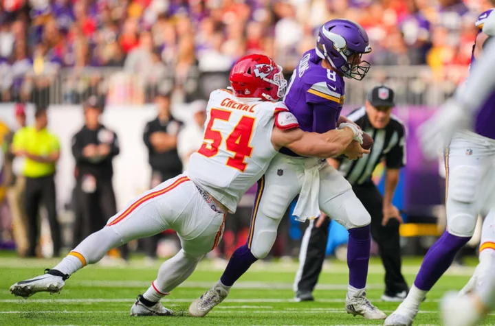 Vikings crowd shows clearly fans have given up hope for this team