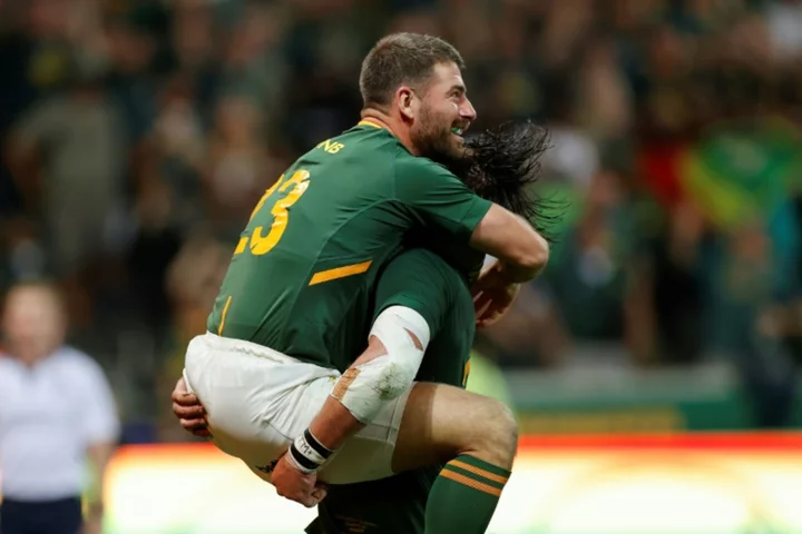 Springbok full-back Le Roux joins Bulls