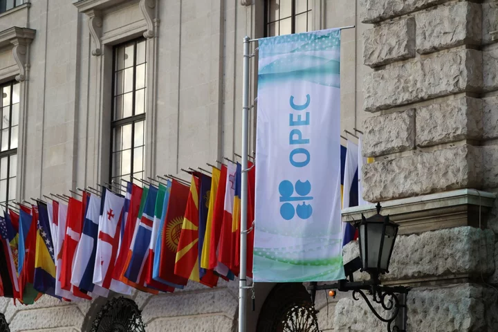 OPEC Will Have a Pavilion at COP Climate Summit for First Time