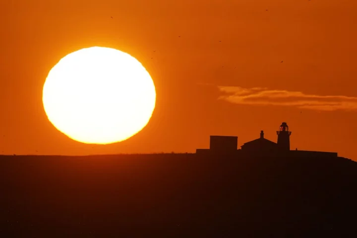 Earth was hit by largest ever solar storm that would devastate civilisation today, tree rings show